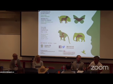 July 6 - 7:30 PM- Workshop 10: Animal Sentience: The Legal Status of Nonhuman Species