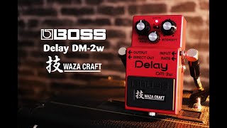 BOSS Waza Craft DM-2W Analog Delay