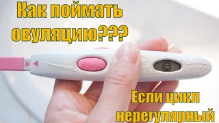 Как поймать овуляцию чтобы забеременеть при нерегулярном цикле