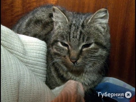 Хабаровчанин подозревается в убийстве сожительницы.MestoproTV