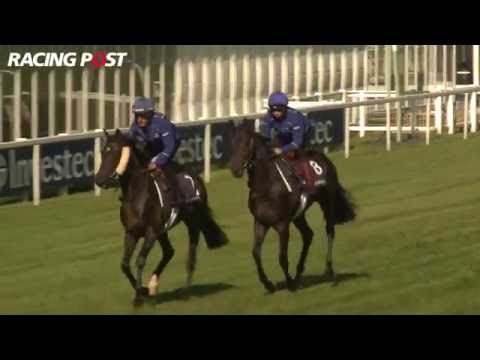 2016 Investec Derby Preview