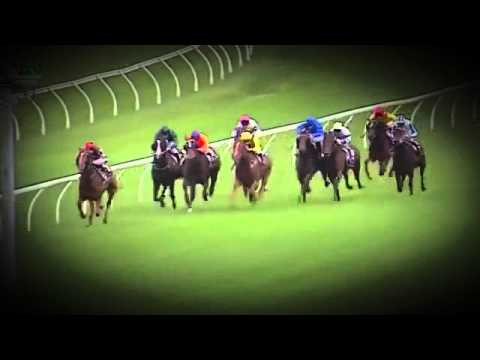 2015 Champagne Stakes