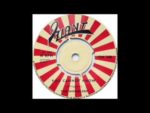 Wrigglers - You Cannot Know