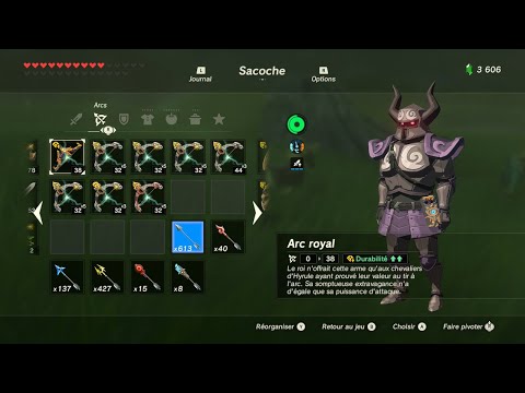 Zelda botw cheat code flèches illimité glitch
