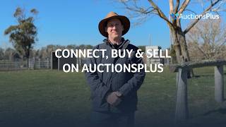 AuctionsPlus | Connecting Ag