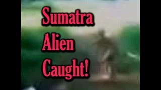 Paranormal News #34 ECTO PORTAL Sumatra Alien Monk Ghost Haunted USS Lexington Ghost Pilot 3-29-17