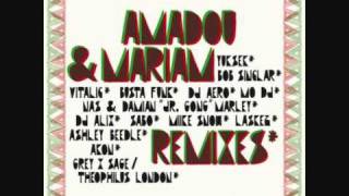 amadou &amp; mariam - poulo (busta funk remix).wmv
