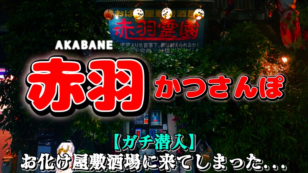 【赤羽かつさんぽ】完全に沼..赤羽でハシゴした結果こうなった「若大将」「闇市」「スナック茶々」「赤羽霊園」「小料理や はなはな」「自家製麺 伊藤」from AKABANE in JAPAN