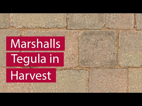 Marshalls Tegula in Harvest