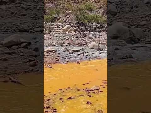 Union de los rios! Naturaleza plena! Chilecito//La Rioja