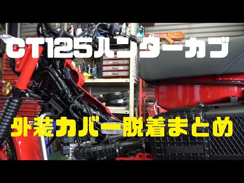 緑のカバーを外す:これでテラスが再び美しくなります トピックス