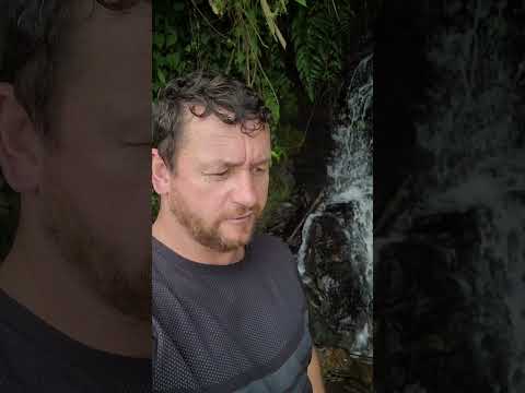 ENCONTREI NA SERRA DE ADRIANOPOLIS PR