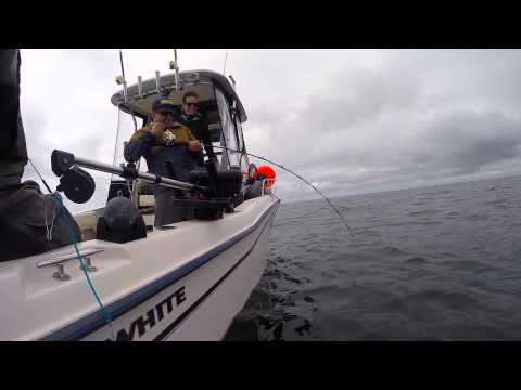 Halibut fishing in Tofino with WardoWest • GoPro