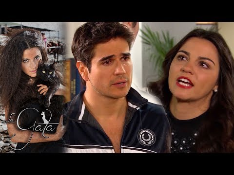 La Gata - Capítulo 21: ¡Pablo se entera que los hijos de Esmeralda son suyos! | Tlnovelas