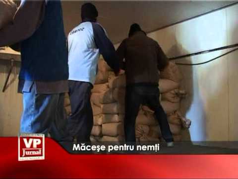 Macese pentru nemti