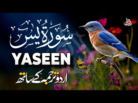 Surah Yaseen Urdu Tarjuma ke Sath | Peaceful Recitation | Episode - 578
