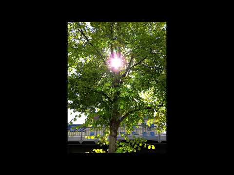 180930 Sonntagsspaziergang