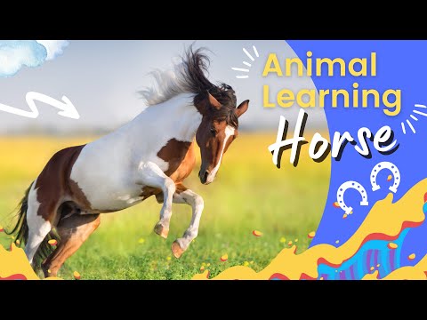 Best Learning Videos About Horses For Kids 🐴✨ | Horse For Kids | All About Horses | Horses Fun Facts