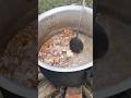 Bhatiyara Muttonrecepi Recipe Shorts Viral