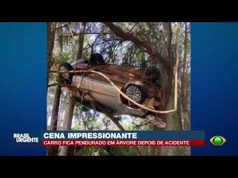 Carro sai da PR-542 e fica preso em árvore no Norte do Paraná