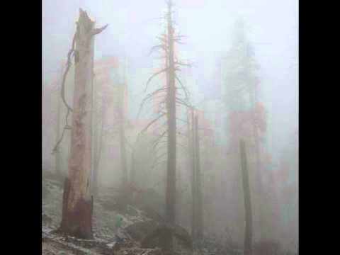 Video thumbnail for Mount Eerie Revealed