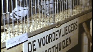 preview picture of video 'Plaatselijk Belang Voorthuizen Verenigingen Beurs 1972'