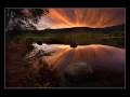 Within Temptation/Pearls of Light