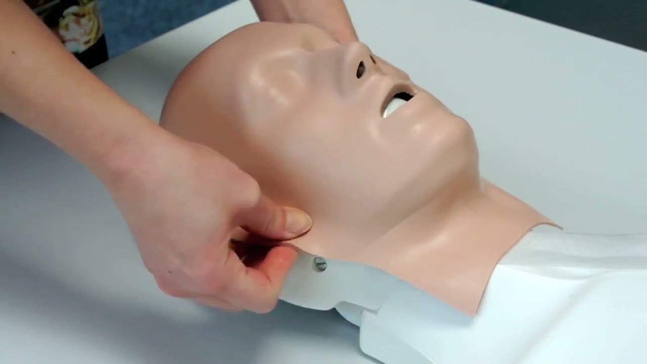 Basic Life Support Simulator  Basic Billy