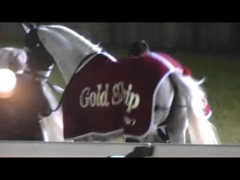 2015.12.27　有馬記念ゴールドシップ引退式_01