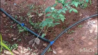 चित्र उपलब्द नहीं है