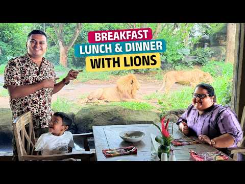 സിംഹത്തിന്റെ ഒപ്പം ഭക്ഷണം | Dining with Lions in Lion Restaurant