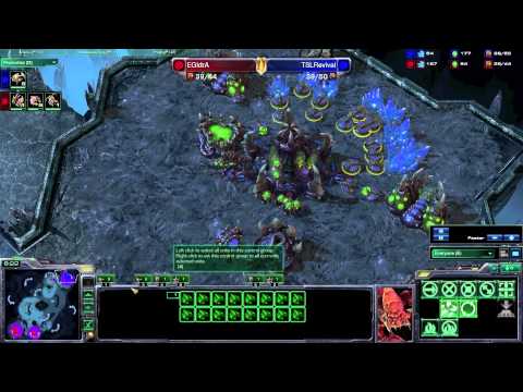 IEM Quarter Finals Idra vs Revival Game 2