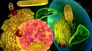 Let these scientists, Permaculture experts teach you about Nature