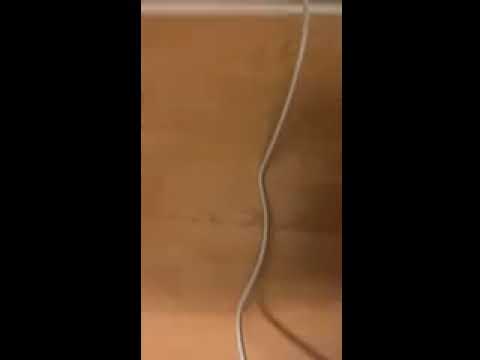 User submitted video