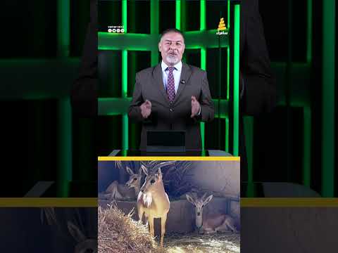 بلاوي جديدة في قضية طلال الزوبعي