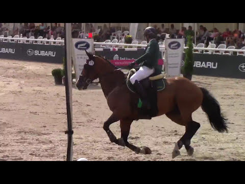 Landado - 1m40 Speed Albführen