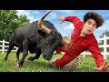 Busting DEADLY Childhood Myths!