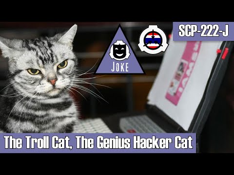 SCP Decoded Reading: SCP-222-TH-J The Troll Cat, The Genius Hacker Cat