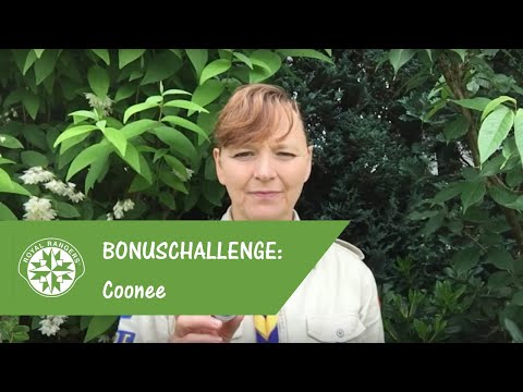 Bonuschallenge: Coonee (Kundschafter) - Royal Rangers Hamburg #n2tohuusaward