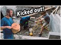 Uncle Kicks Kids Out Museum Of Natural Curiosity