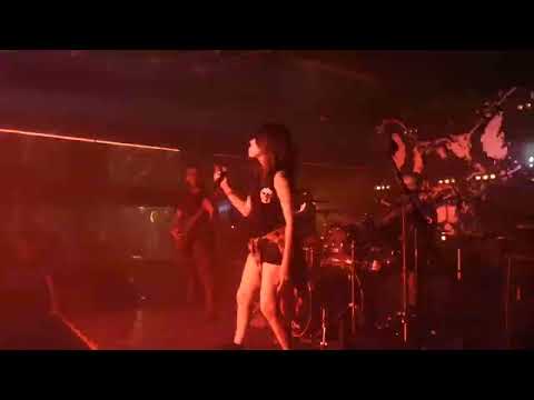 Brutal Pig -  28 de septiembre 2019 Mérida, Yucatán