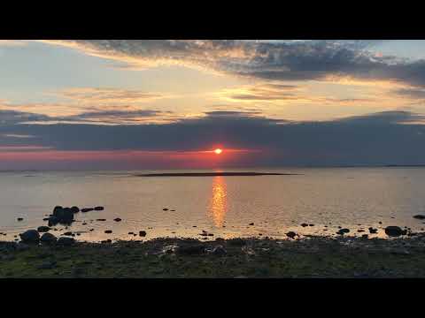 BJURMAN - Music Diary 2018-05-31