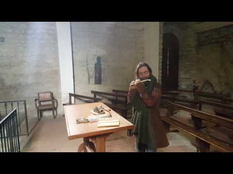 Maxence des oiseaux. "préhistoflûte"