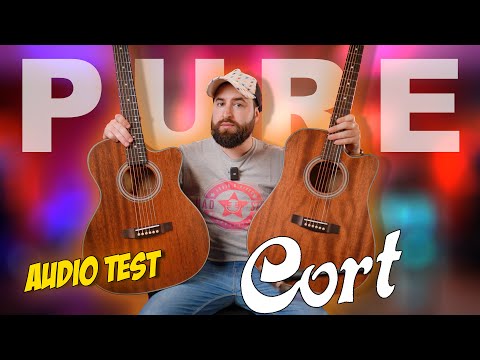 Cort Pure Acoustic Guitars Dreadnought or OM style?