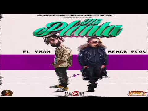 Mi planta - Ñengo Flow ft. El Yman