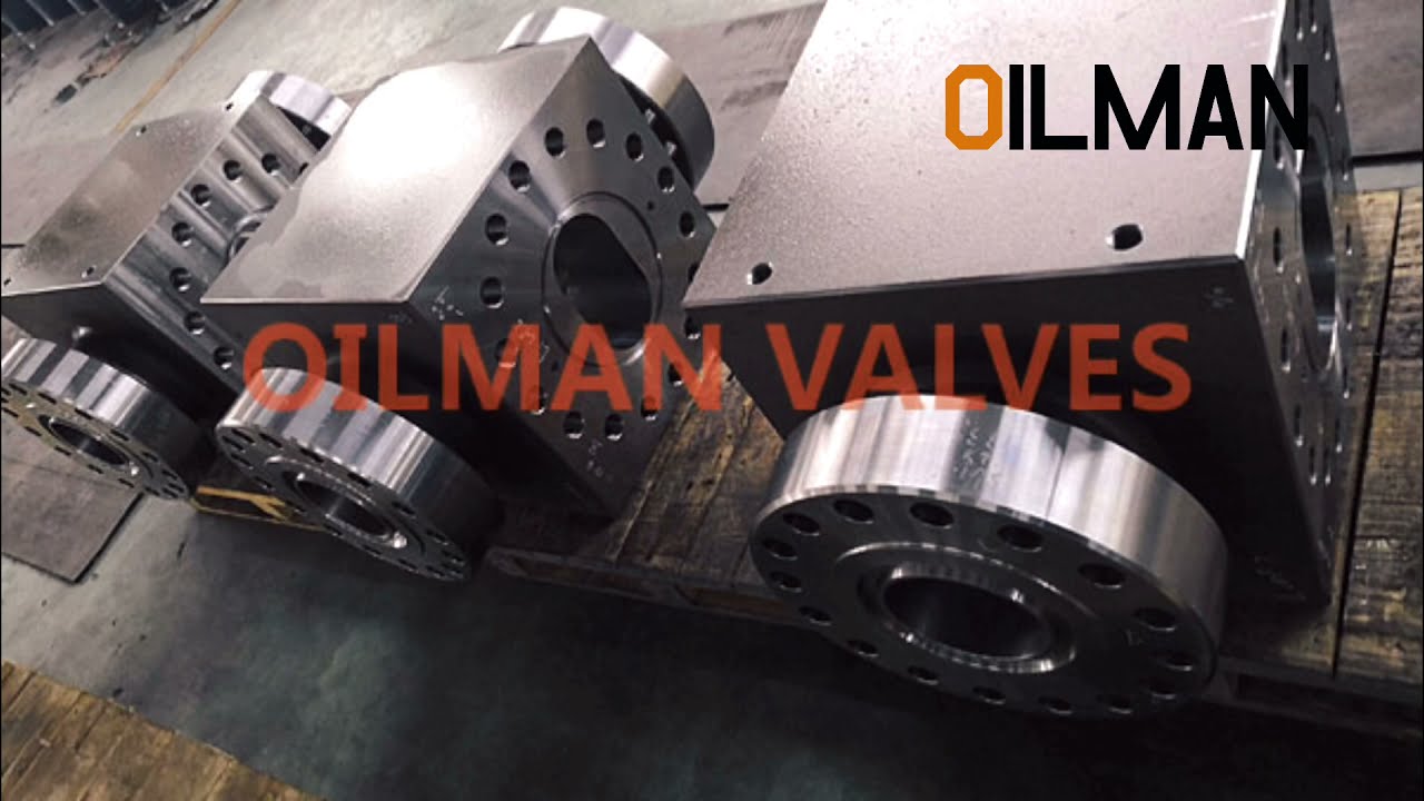 FC FLS-R Valve Parts Gate Valves