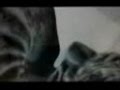 Cocteau Twins - Summer-Blink