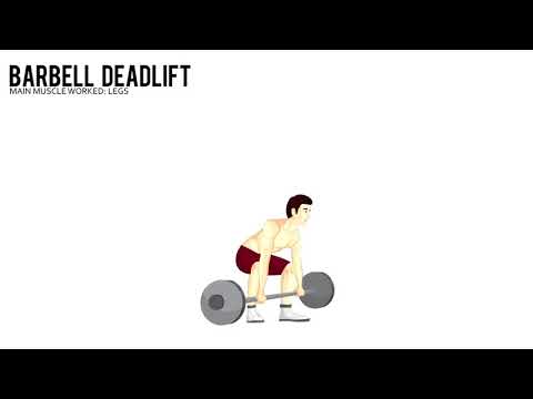 Deadlift Animated Video | How To Do Deadlift 2018