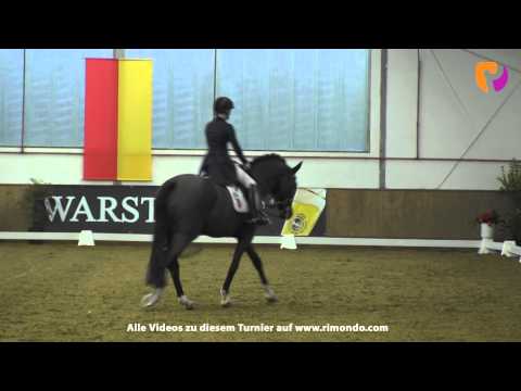 Vechta: Sieg Anna-Lisa Theile & Florenctino Dr. S Prix St. Georges (06) 16.02.2014