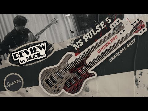 🎸 스펙터 NS Pulse 리뷰 | REVIEW by MUCL